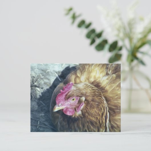 CHICKENS BRIEFKAART (Staand voorkant)