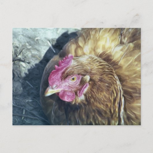 CHICKENS BRIEFKAART (Voorkant)