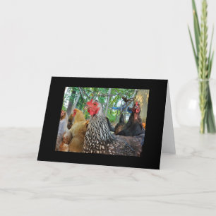 Chickens Kaart