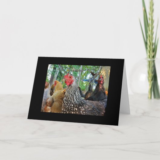 Chickens Kaart (Voorkant)