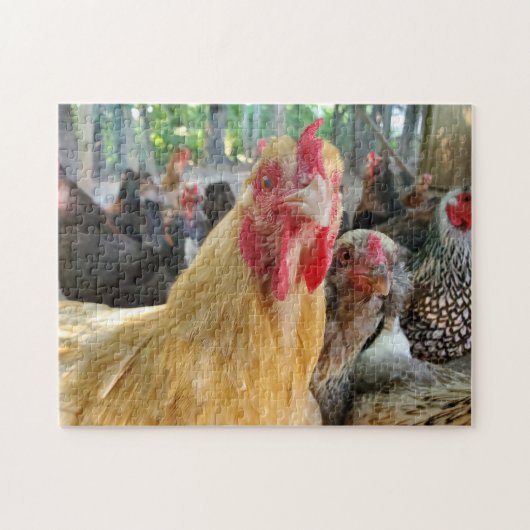 Chickens Legpuzzel (Horizontaal)