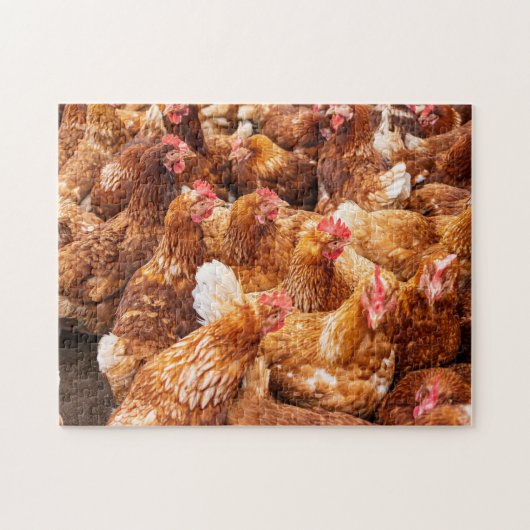Chickens Legpuzzel (Horizontaal)