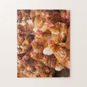 Chickens Legpuzzel (Verticaal)