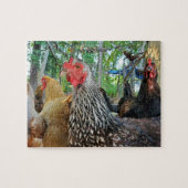 Chickens Legpuzzel (Horizontaal)