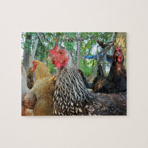 Chickens Legpuzzel