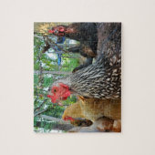 Chickens Legpuzzel (Verticaal)