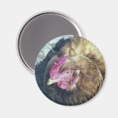 CHICKENS MAGNEET (Voorkant / Achterkant)