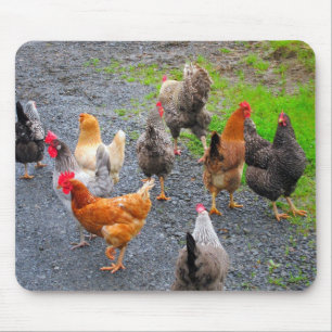 Chickens Mousepad Muismat