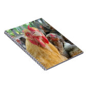 Chickens Notitieboek (Rechterzijde)