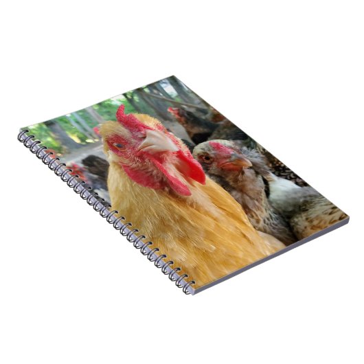Chickens Notitieboek (Rechterzijde)