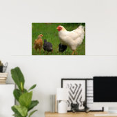 Chickens Poster (Thuiskantoor)