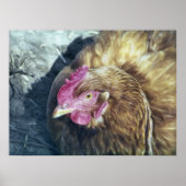 CHICKENS POSTER (Voorkant)