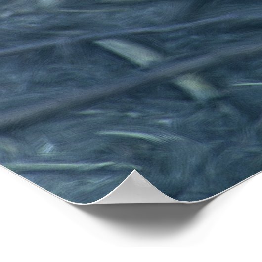 CHICKENS POSTER (Hoek)