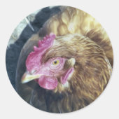 CHICKENS RONDE STICKER (Voorkant)