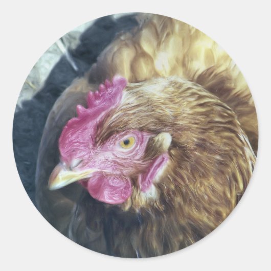 CHICKENS RONDE STICKER (Voorkant)