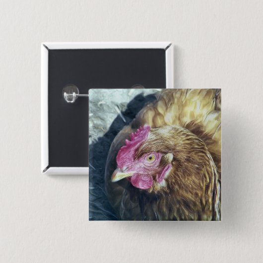 CHICKENS VIERKANTE BUTTON 5,1 CM (Voorkant /achterkant)