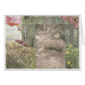 Chickie 1 (Voorkant Horizontaal)