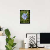 Chickory Flower Poster (Thuiskantoor)