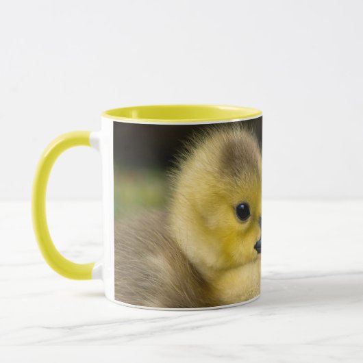 CHICKS CUDDLING MOK (Links)