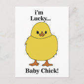 Chicks Ik ben Lucky Baby Chick Briefkaart (Voorkant)