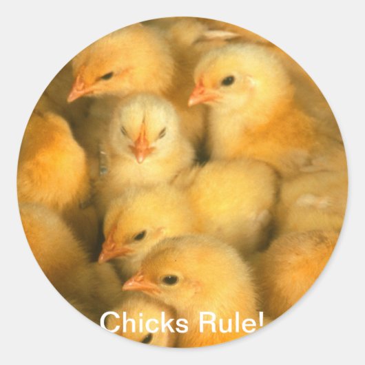 Chicks Regel! Baby Kippen Kippen Ronde Sticker (Voorkant)