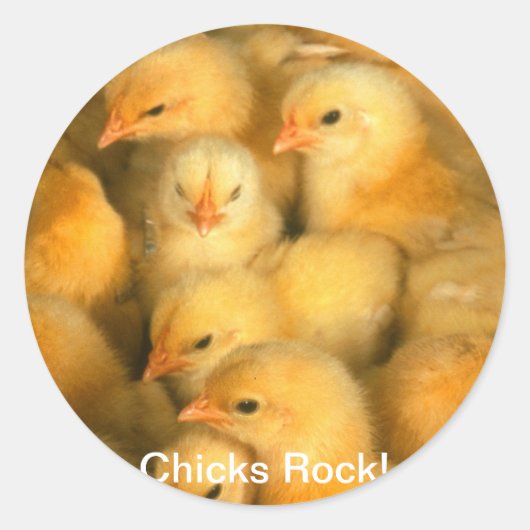 Chicks Rock! Baby Kippen Kippen Ronde Sticker (Voorkant)