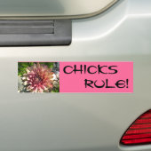 CHICKS, RULE! BUMPERSTICKER (Op auto)