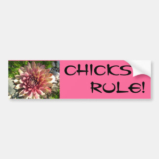 CHICKS, RULE! BUMPERSTICKER