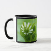 Chickweed Flower, Zwarte Lijst Mok (Links)