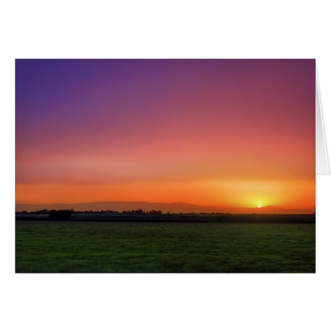 Chico (Voorkant Horizontaal)