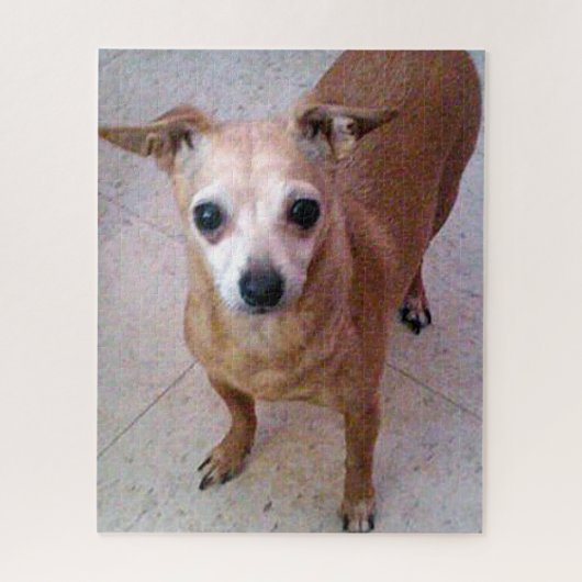 Chico Chiwawa Legpuzzel (Verticaal)