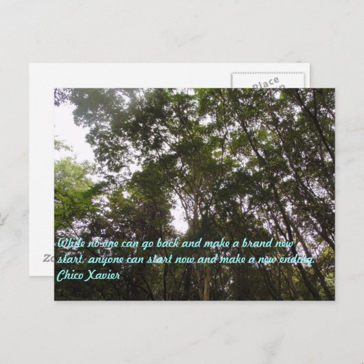 Chico Xavier Quotes Briefkaart (Voorkant / Achterkant)