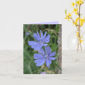 Chicorei Bloemkaart Kaart (Gele Bloem)
