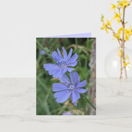 Chicorei Bloemkaart Kaart (Gele Bloem)