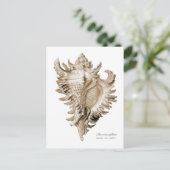 Chicoreus ramosus briefkaart (Staand voorkant)
