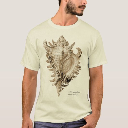 Chicoreus ramosus (Chicoreus inflatus). T-shirt (Voorkant)