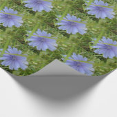 Chicory Blue Paars Flower Floral Cadeaupapier (Hoek)