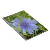 Chicory Blue Paars Flower Floral Notitieboek (Rechterzijde)