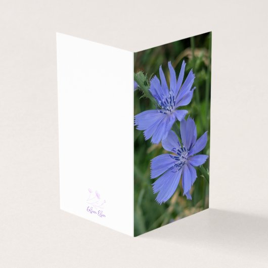 Chicory Flower Folded Note Card Kaart (Buitenkant)