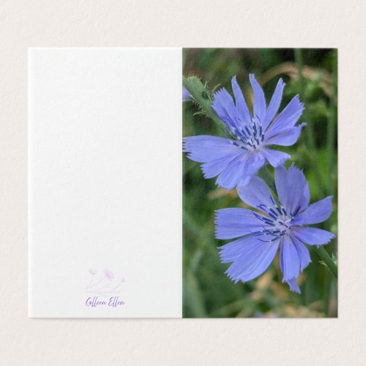 Chicory Flower Folded Note Card Kaart (Buitenkant ongevouwen)