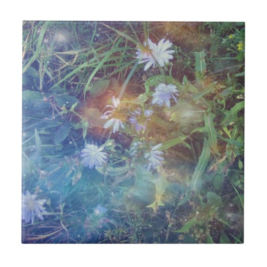 Chicory Grass Tile Tegeltje (Voorkant)