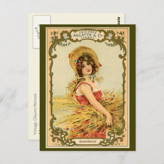 Chicory Harvest Advertisement Briefkaart (Voorkant / Achterkant)