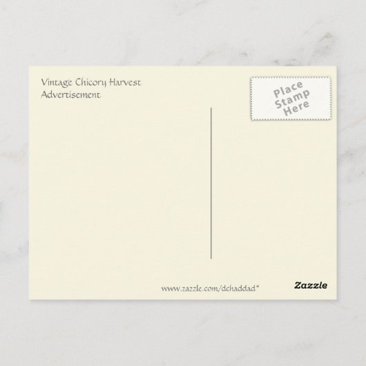 Chicory Harvest Advertisement Briefkaart (Achterkant)