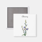 Chicory Plant Magnet (Voorkant / Achterkant)