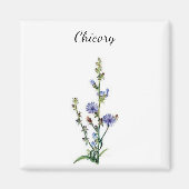 Chicory Plant Magnet (Voorkant)