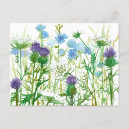 Chicory Thistle Queen Annes Lace Wildbloemen Briefkaart