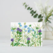 Chicory Thistle Queen Annes Lace Wildbloemen Briefkaart (Staand voorkant)