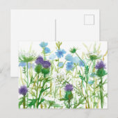 Chicory Thistle Queen Annes Lace Wildbloemen Briefkaart (Voorkant / Achterkant)