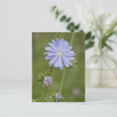 Chicory Wild Flower DIY Briefkaart (Staand voorkant)