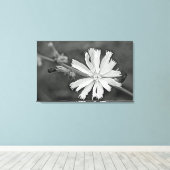 Chicory Wildflower Canvas Afdruk (Insitu (Houten vloer))